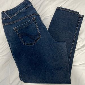 Lane Bryant Jeggings